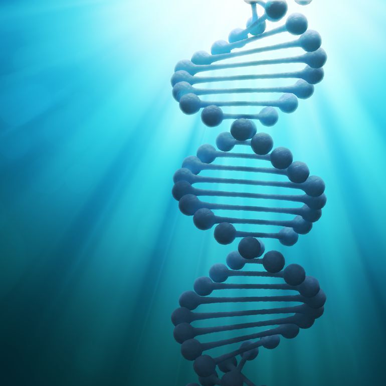 The Biological Building Blocks CancerQuest